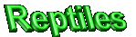 Reptileslogo.gif (4113 bytes)