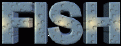 fishicon.gif (7686 bytes)