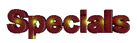 specialsicon.gif (7874 bytes)