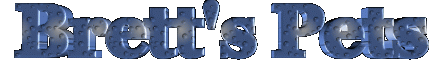 brettlogo.gif (286604 bytes)