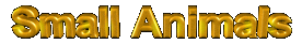 smallanimalslogo.gif (6470 bytes)